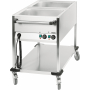 Bain Marie Trolley 2xGN1/1 V